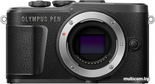 Беззеркальный фотоаппарат Olympus PEN E-PL10 Body (черный)