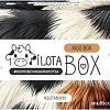Подарочный набор Milota Box Moo Box MB134