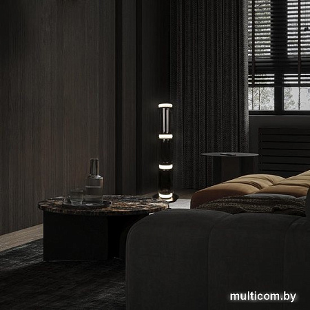 Торшер LOFT IT Noctambule 10194F/L