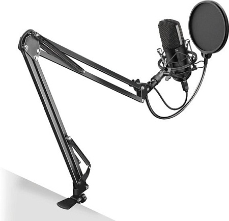 Микрофон SunWind SW-SM400G