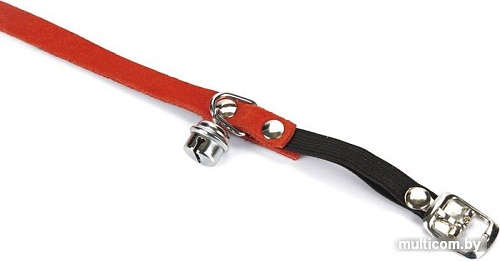 Ошейник Beeztees IPTS 730201