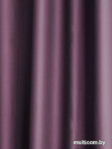 Комплект штор Pasionaria Блэквуд 400x240 (фиолетовый)