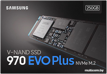 SSD Samsung 970 Evo Plus 250GB MZ-V7S250BW