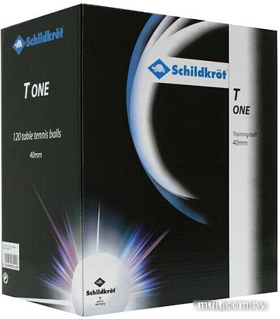 Мяч для настольного тенниса Donic-Schildkrot 2T-Club 608532 (120 шт, белый)