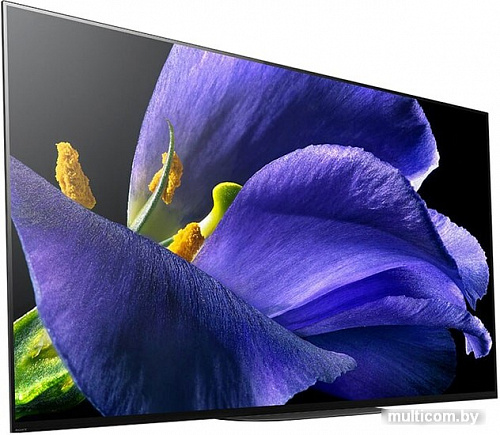 Телевизор Sony KD-77AG9