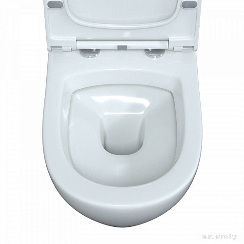 Унитаз подвесной Berges Wasserhaus 042445 (с сиденьем)