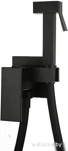 Гигиенический душ Roxen Caspia 50096000-B