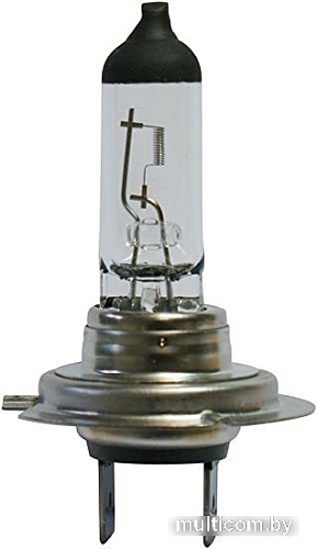 Галогенная лампа Bosch H7 TruckLight 1шт