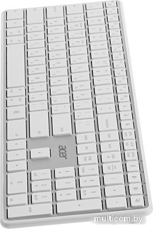 Клавиатура Acer OKR301