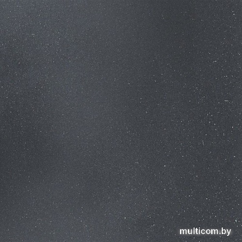 Кухонная мойка Wisent 510-25W (с сифоном GER013)