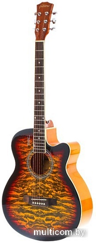 Акустическая гитара Elitaro E4030 SB