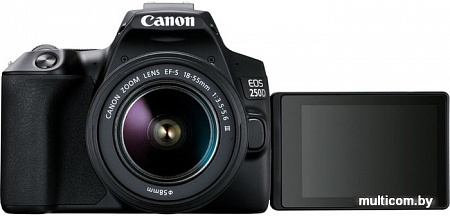Зеркальный фотоаппарат Canon EOS 250D Kit 18-55 f/3.5-5.6 III + SB310 + SDHC (черный)