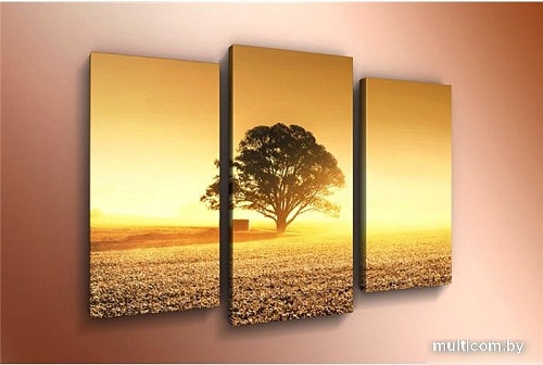 Модульная картина Arthata m-000357 120x80