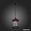 Уличный фонарь ST Luce Lastero SL080.403.01