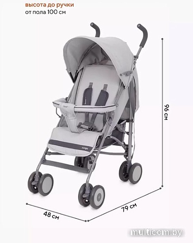 Коляска прогулочная «трость» Rant Basic Tango RA352 (silver grey)