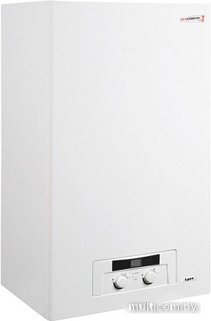 Отопительный котел Protherm Рысь HK 24