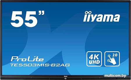Интерактивная панель Iiyama ProLite TE5503MIS-B2AG