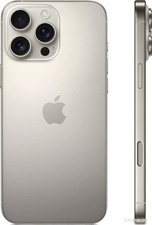 Смартфон Apple iPhone 16 Pro Max Dual SIM 256GB (природный титан)