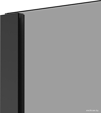 Душевая стенка Berges Wasserhaus Sky Black 120x200 064029
