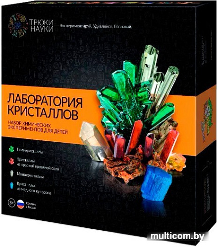 Набор для опытов Трюки науки Лаборатория кристаллов Z009
