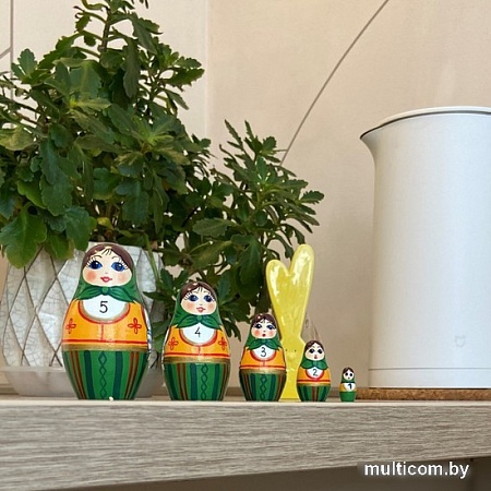 Развивающая игра Брестская Матрешка С числами (набор 5 шт)