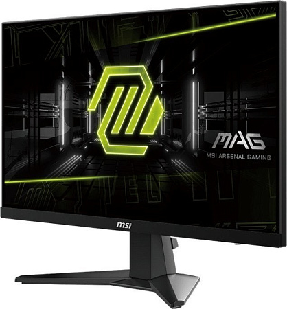 Игровой монитор MSI MAG 256F