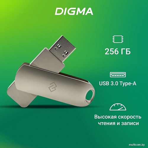 USB Flash Digma Drive 3 256GB DGFUM256A30SR
