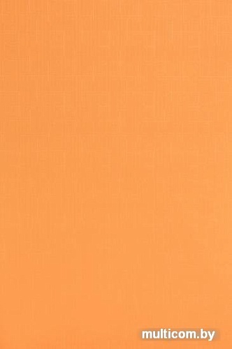 Рулонные шторы Lm Decor Лайт LM 30-03D 220x185