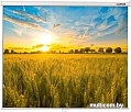 Проекционный экран Lumien Eco Picture 178x280 LEP-100124