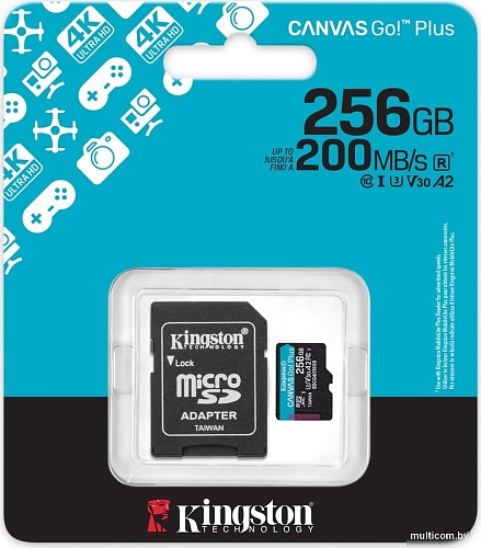 Карта памяти Kingston Canvas Go! microSDXC 256GB SDCG4/256GB (с адаптером)