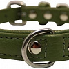 Ошейник Angel Pet Alpine 41034/AG (зеленый)