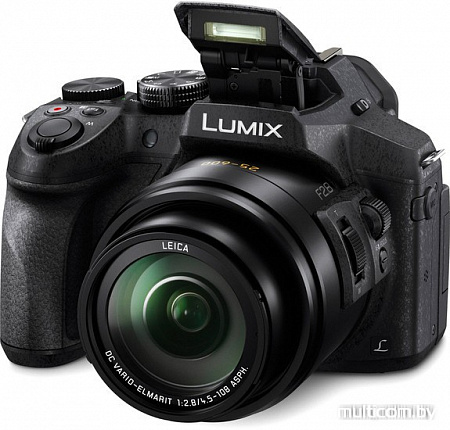 Фотоаппарат Panasonic Lumix DMC-FZ300