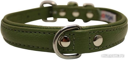 Ошейник Angel Pet Alpine 41034/AG (зеленый)