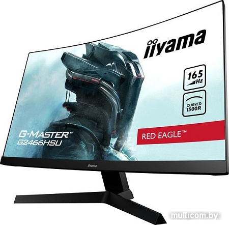 Монитор Iiyama G-Master G2466HSU-B1
