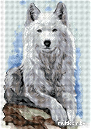 Алмазная мозаика Wizardi Серый странник 2WD2510