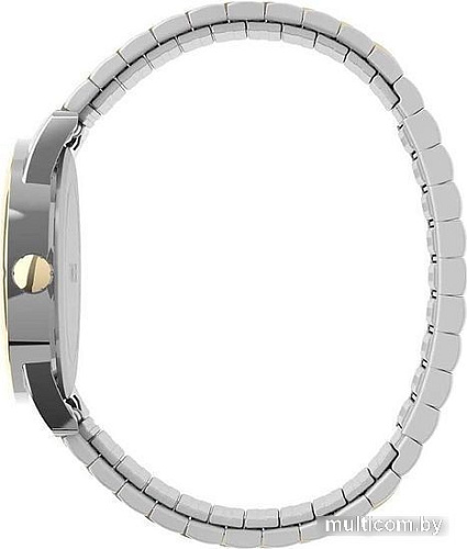 Наручные часы Timex TW2V40100