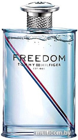 Туалетная вода Tommy Hilfiger Freedom for Men EdT (100 мл)