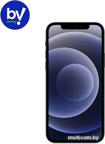 Смартфон Apple iPhone 12 256GB Воcстановленный by Breezy, грейд B (черный)