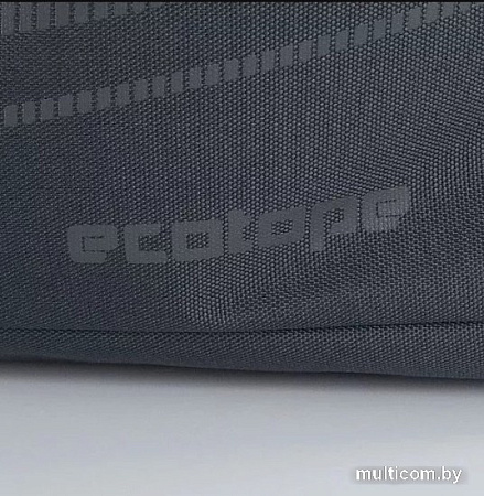 Дорожная сумка Ecotope 360-3037-GRY (серый)