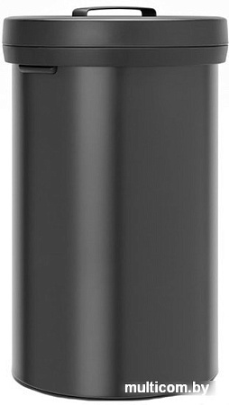 Мусорное ведро Brabantia Big Bin 60 л (черный/темно-серый)