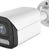 IP-камера Arsenal AR-I500 (2.8 mm)