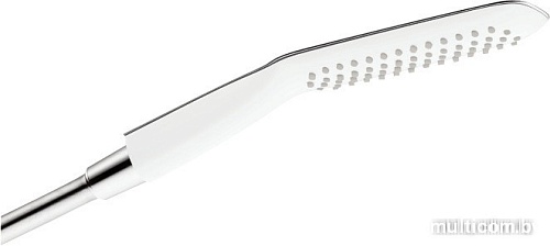 Душевая лейка Hansgrohe PuraVida 120 (28558400)
