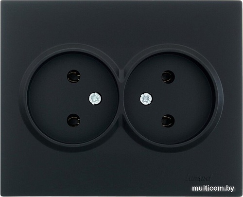 Розетка Lezard Vesna 742-4200-128B