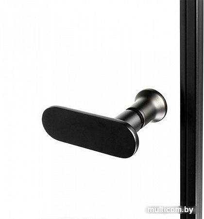 Душевая дверь NEW TRENDY New Soleo Black 100 D-0242A