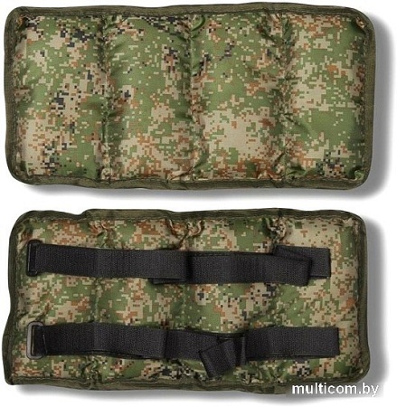 Комплект утяжелителей Indigo Классика SM-148 (2x0.5 кг, КМФ)