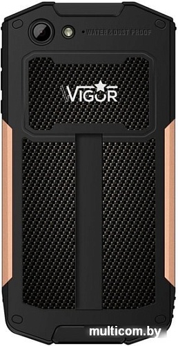 Смартфон Wigor V2 (черный)