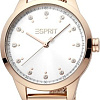 Наручные часы Esprit ES1L259M1095