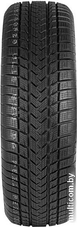 Автомобильные шины Gripmax SureGrip eWinter 255/60R20 113V
