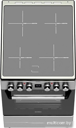 Кухонная плита Darina PLS ECI241 616 1S