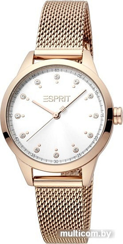Наручные часы Esprit ES1L259M1095